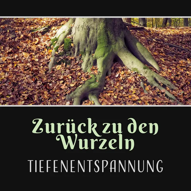 Zurück zu den Wurzeln - Tiefenentspannung, Musik zum Entspannen, Zen, Musik für Yoga, Naturgeräusche, Schlaf Gut, Meditation