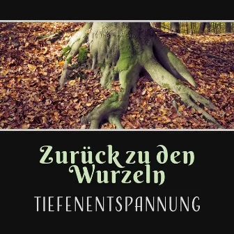 Zurück zu den Wurzeln - Tiefenentspannung, Musik zum Entspannen, Zen, Musik für Yoga, Naturgeräusche, Schlaf Gut, Meditation by Entspannende SPA Musik Zone