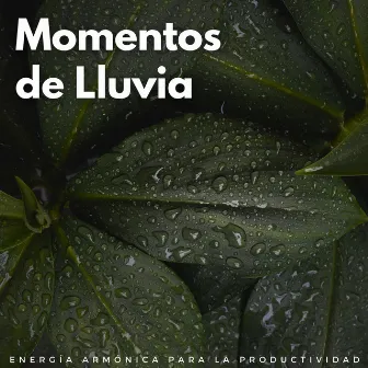 Momentos De Lluvia: Energía Armónica Para La Productividad by Lofi Beats para el trabajo