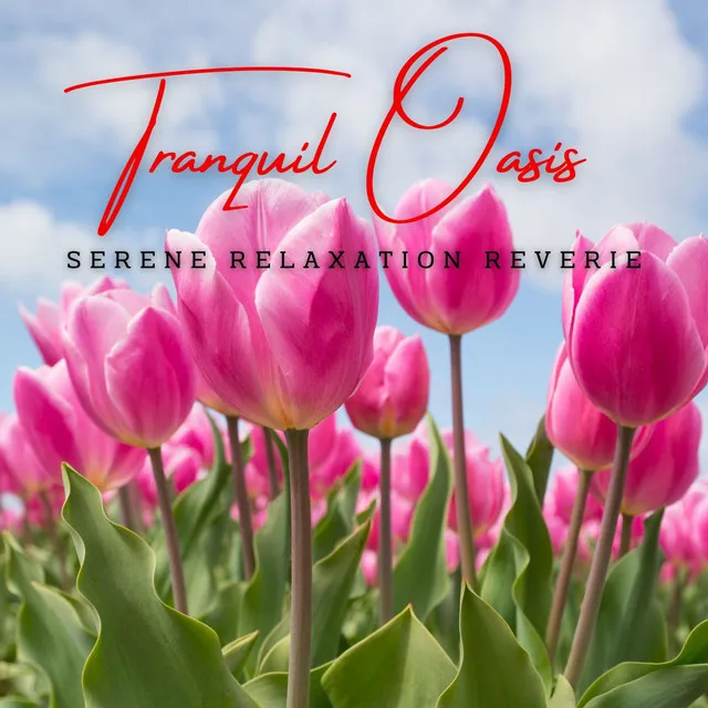 Tranquil Oasis: Meditative Melodies for Deep Relaxation