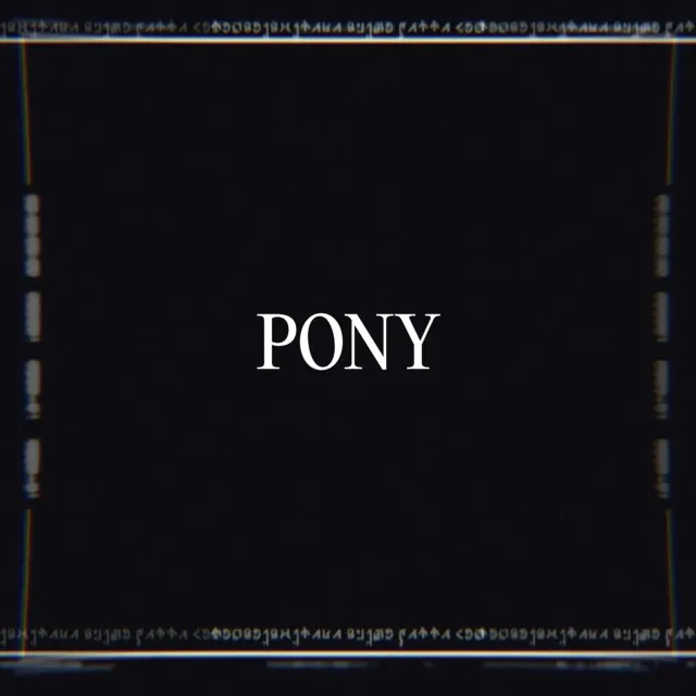 Pony