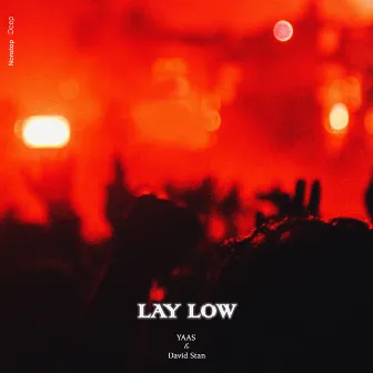 Lay Low by David Stan