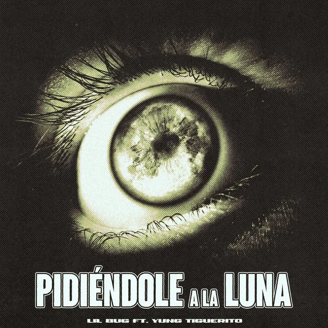 Pidiéndole a la luna