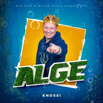 Alge by Knossi