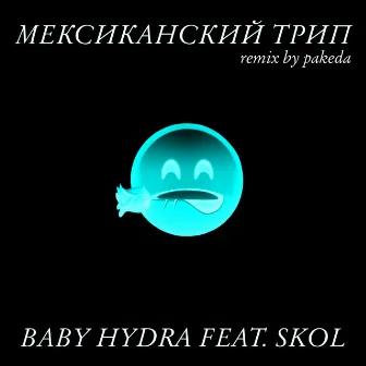 Мексиканский трип by BABY HYDRA