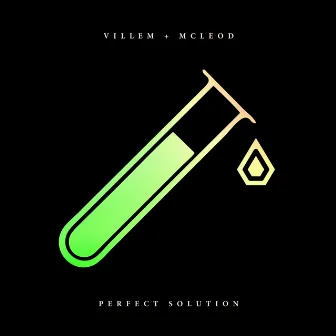 Perfect Solution by Villem