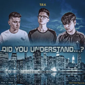 Did You Understand...? by TSV