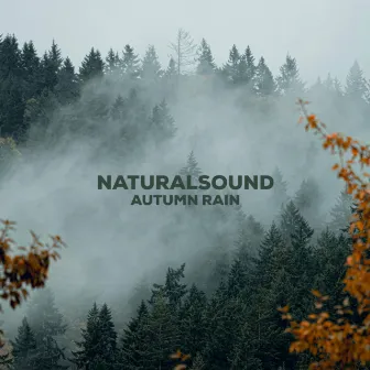 Autumn Rain by NATURALSOUND