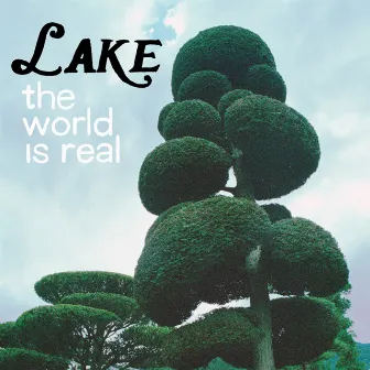 The World is Real by LAKE