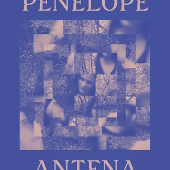 Bonfire by Penelope Antena