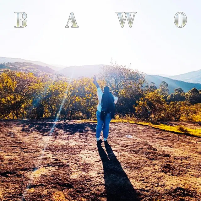 BAWO - PVS mix