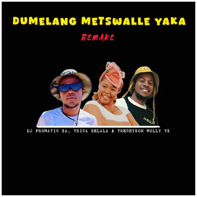 Dumelang Metswalle Yaka - Remake