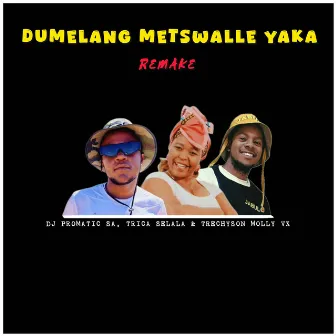 Dumelang Metswalle Yaka (Remake) by DJ Promatic SA