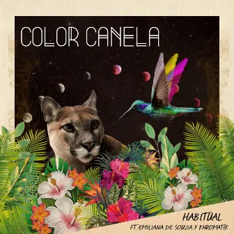 Color Canela by Habitual