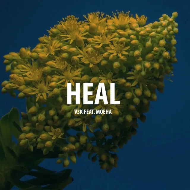 Heal