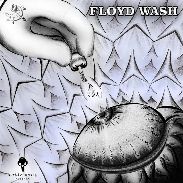 Floyd Wash