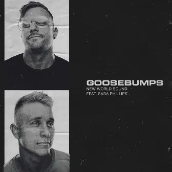 Goosebumps by New World Sound