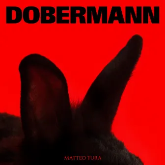 DOBERMANN by Matteo Tura