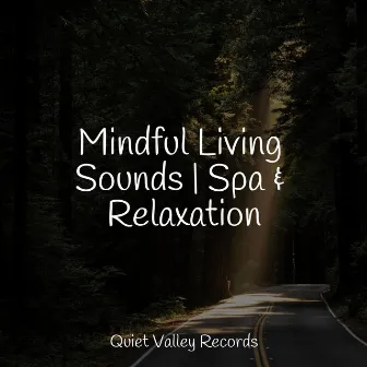 Mindful Living Sounds | Spa & Relaxation by Sleep Sounds Rain