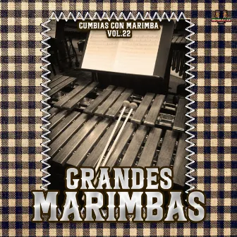 Cumbias Con Marimba Vol. 22 by Grandes Marimbas