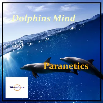 Dolphins Mind by Paranetics