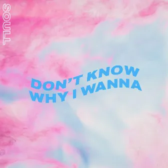 Don't Know Why I Wanna by Soull