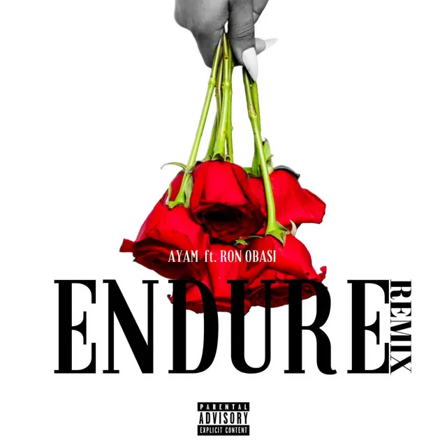 Endure (Remix)