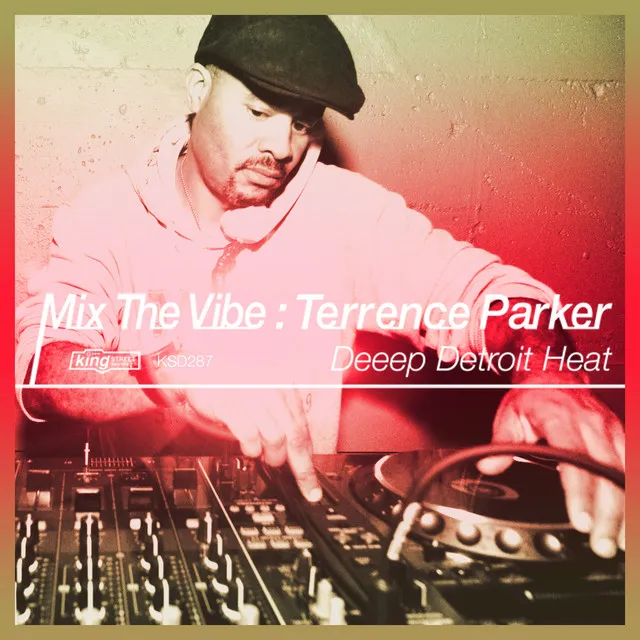 Heal My Heart - Terrence Parker Re-Edit of Kerri Chandler Big Mix (Mixed)