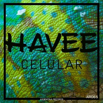 Celular by Havee