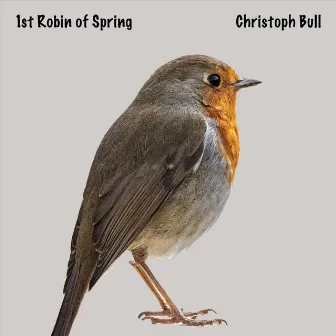 1st Robin of Spring by Christoph Bull