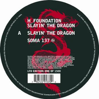 Slayin the Dragon by H-Foundation