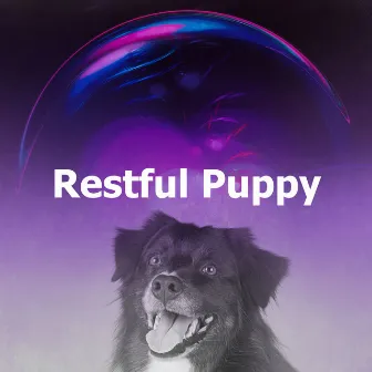 Restful Puppy by Dog Therapy Music