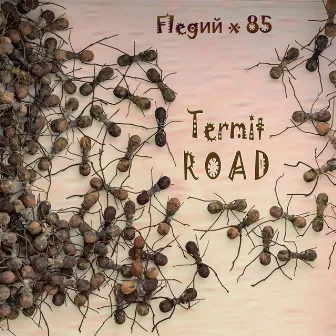 Termit Road by Flegий