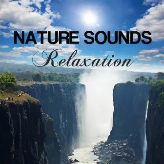 Nature Sounds Relaxation by Unknown Artist