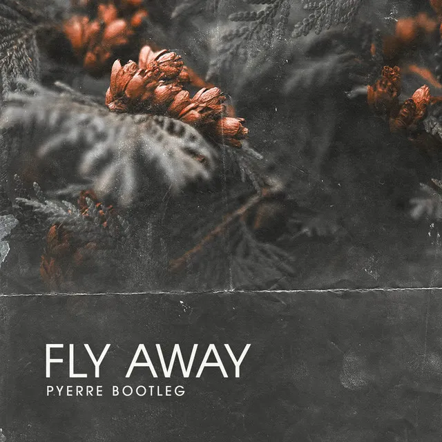 Fly Away (Bootleg)