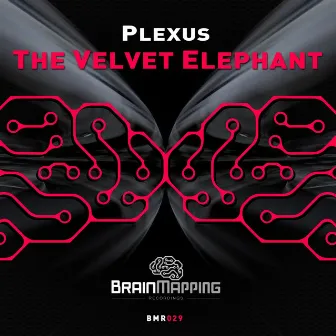 The Velvet Elephant by Plexus