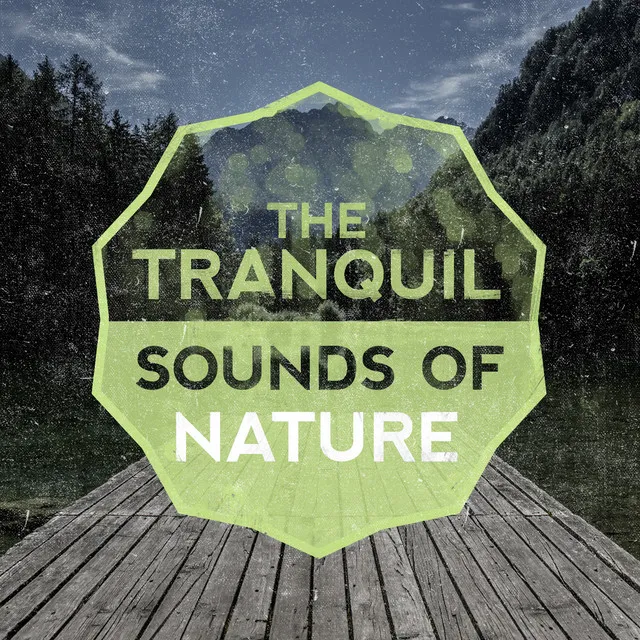 The Tranquil Sounds of Nature