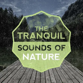 The Tranquil Sounds of Nature by Unknown Artist