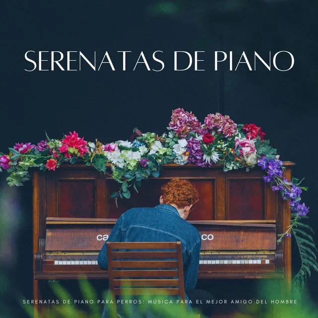 Serenatas De Piano Para Perros: Música Para El Mejor Amigo Del Hombre