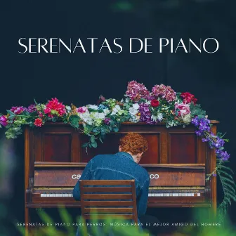 Serenatas De Piano Para Perros: Música Para El Mejor Amigo Del Hombre by Maestros de la música de relajación para piano