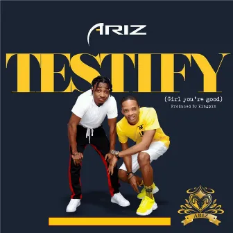 Testify (Girl You're Good) by Ariz