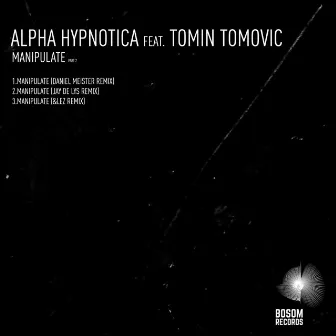 Manipulate, Pt. 2 by Alpha Hypnotica