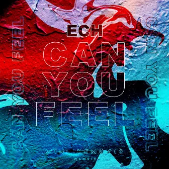 Can You Feel by Ech