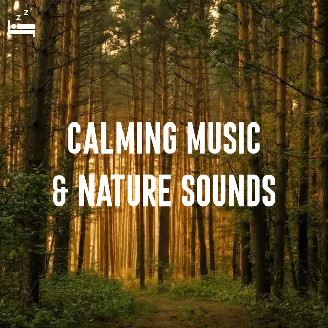 Calming Music and Nature Sounds