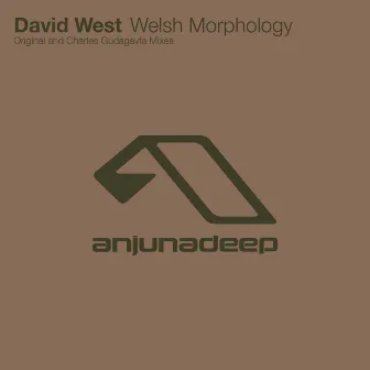 Welsh Morphology by David West