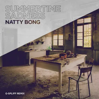 Summertime Sadness (G-Spliff Remix) by Natty Bong