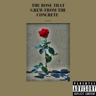 The Rose That Grew from the Concrete by RyanD