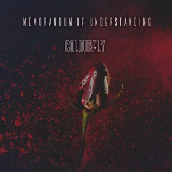 Memorandum Of Understanding - Colourfly by Mou Sultana