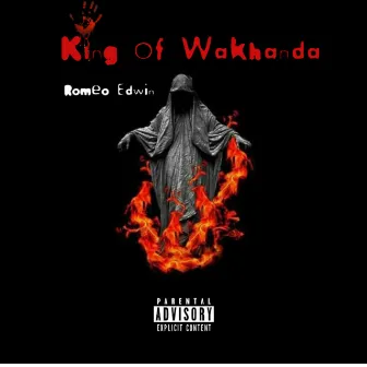 King Of Wakhanda by Romeo Edwin