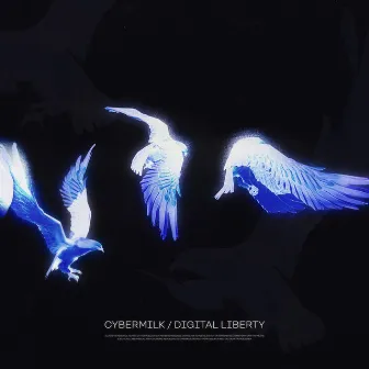 Digital Liberty by Cybermilk